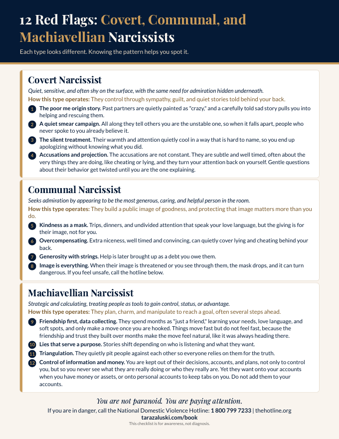 Preview of the 12 Red Flags checklist